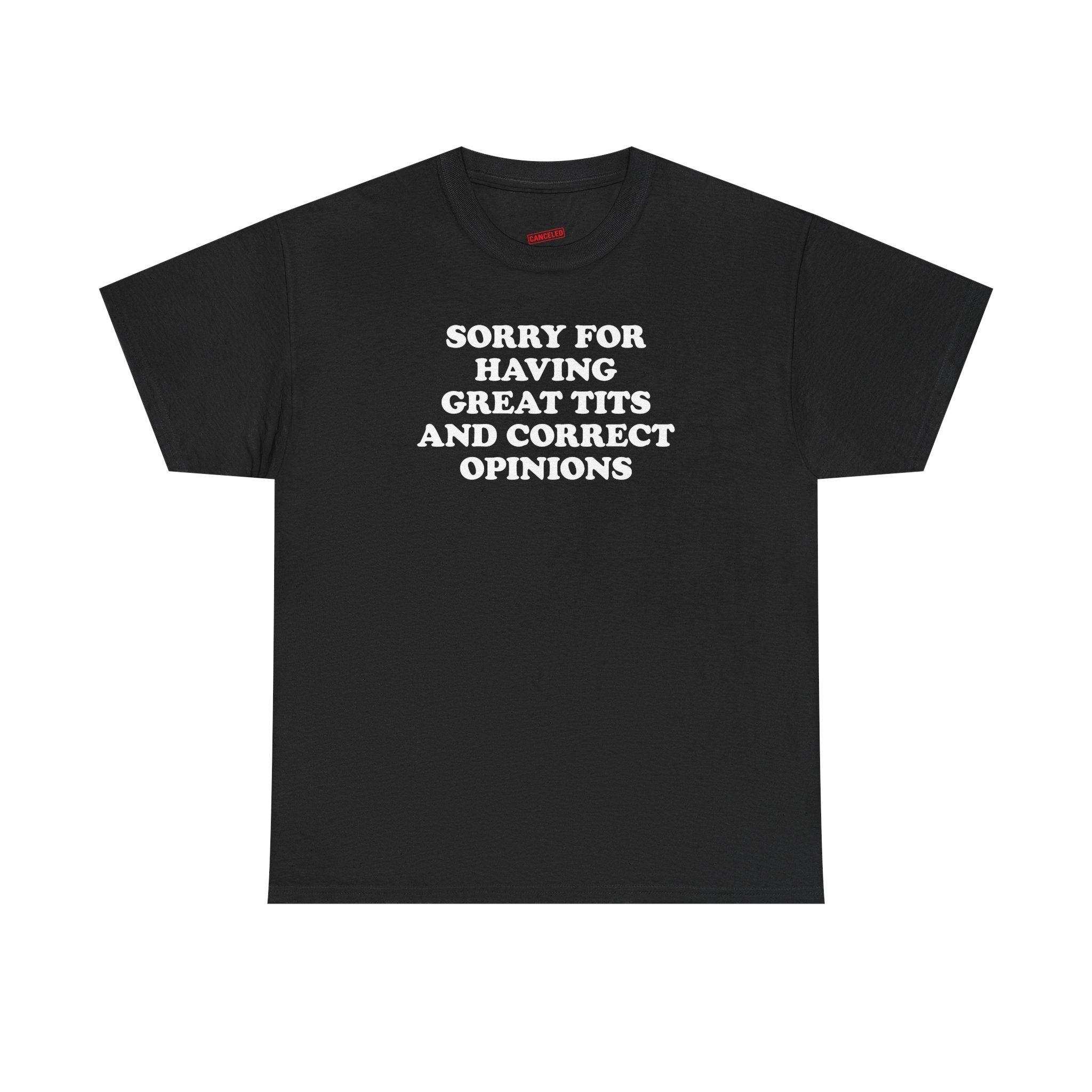 Sorry For Having Great Tits And Correct Opinions T-Shirt