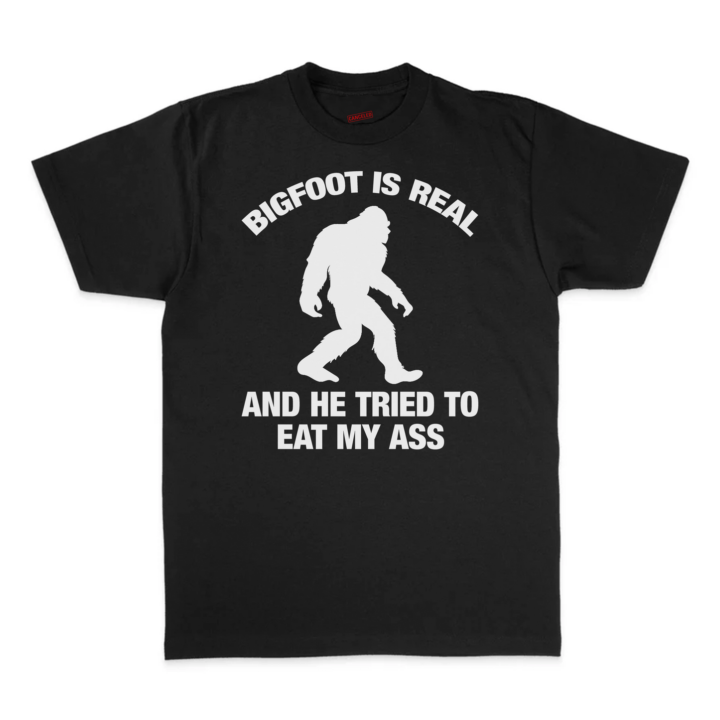 Bigfoot Is Real And He Tried To Eat My Ass T-Shirt