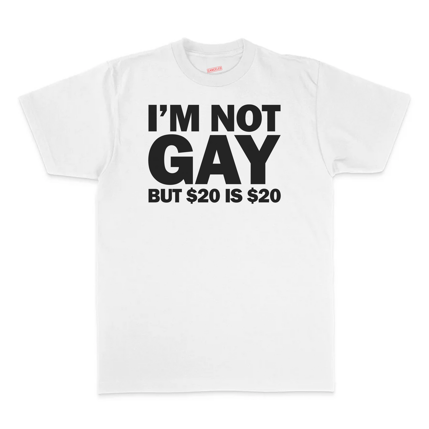 I'm Not Gay But $20 Is $20 T-Shirt