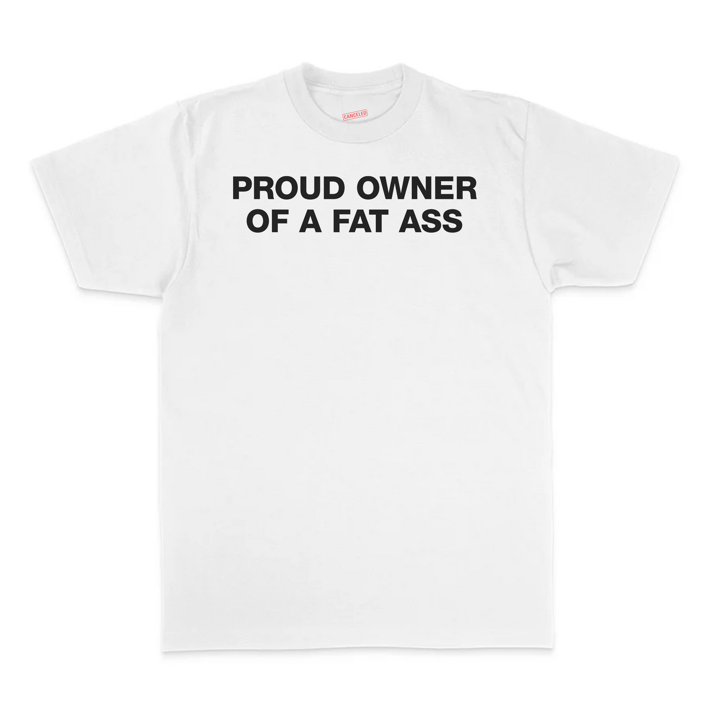 Proud Owner Of A Fat Ass T-Shirt