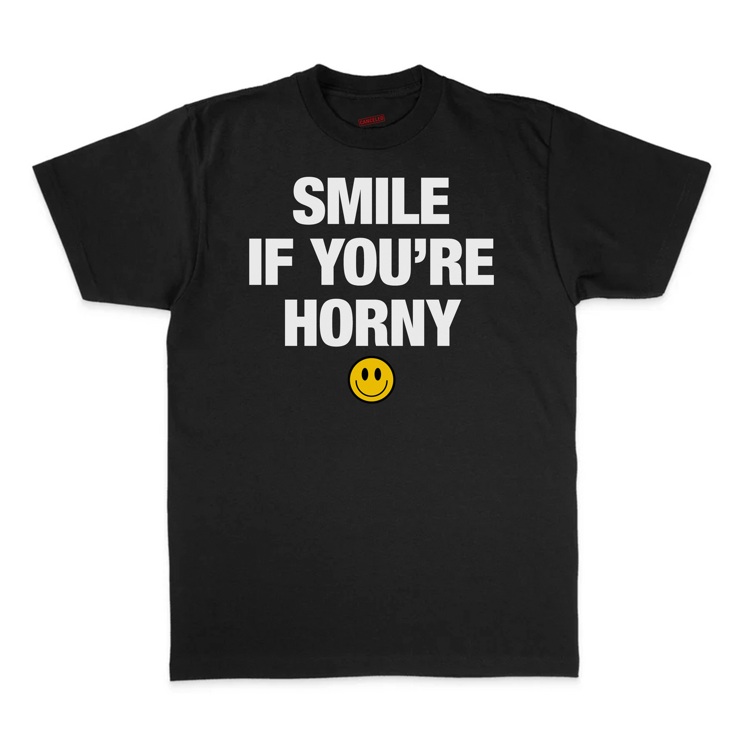 Smile If You're Horny T-Shirt