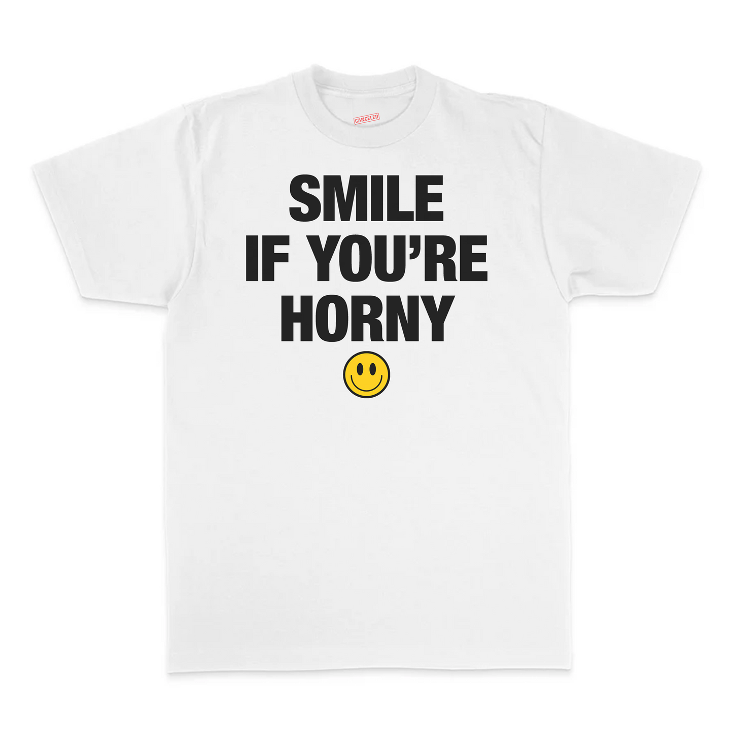 Smile If You're Horny T-Shirt