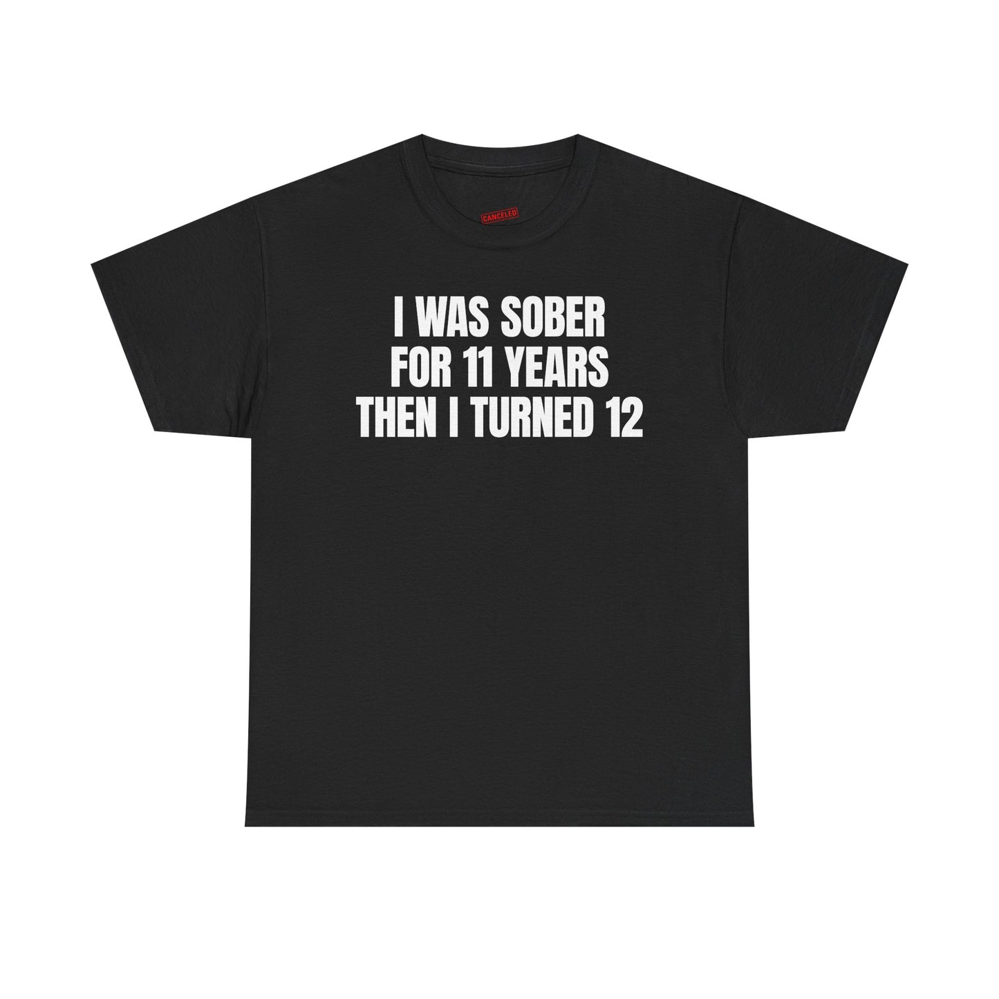 I Was Sober For 11 Years Then I Turned 12 T-Shirt