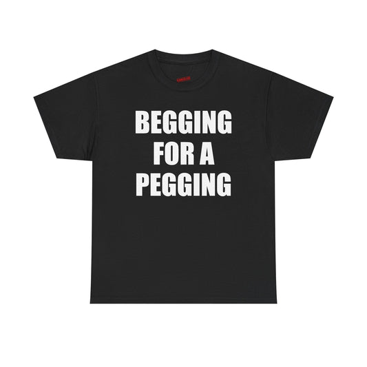 Begging For A Pegging T-Shirt