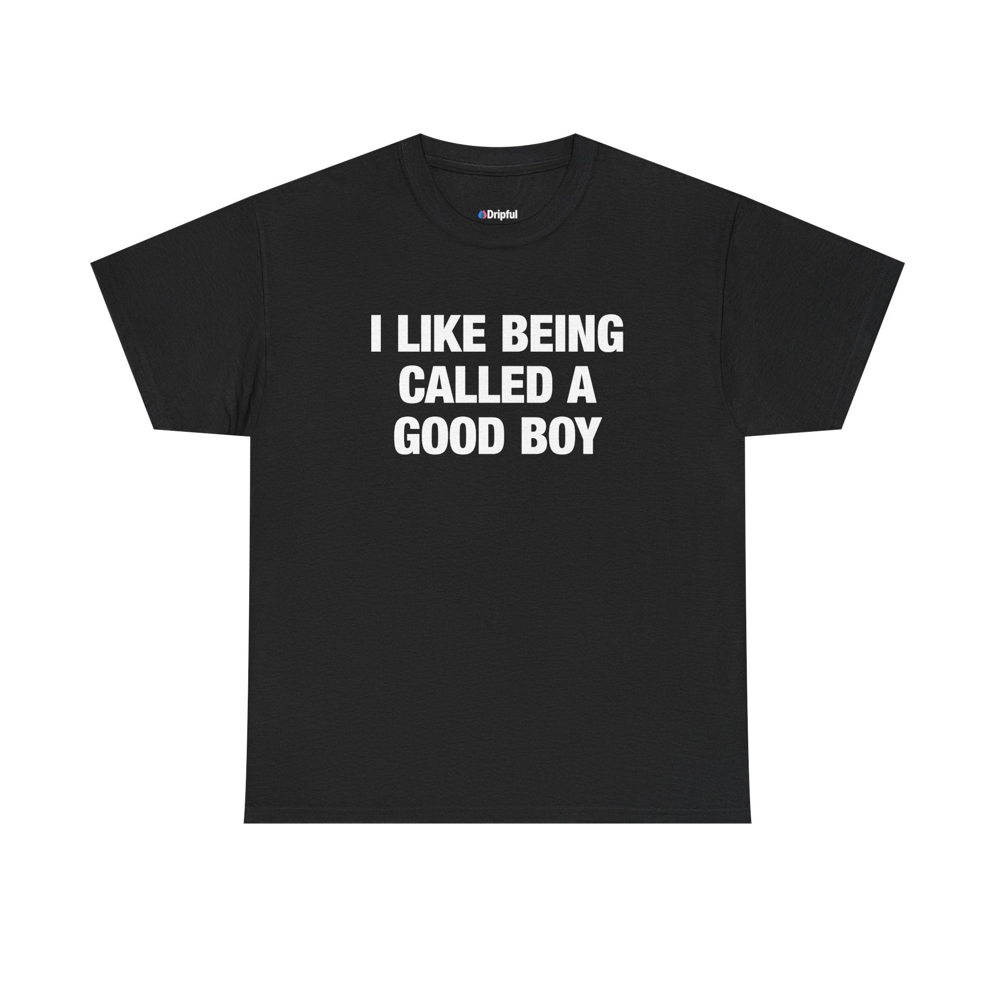I Like Being Called A Good Boy T-Shirt