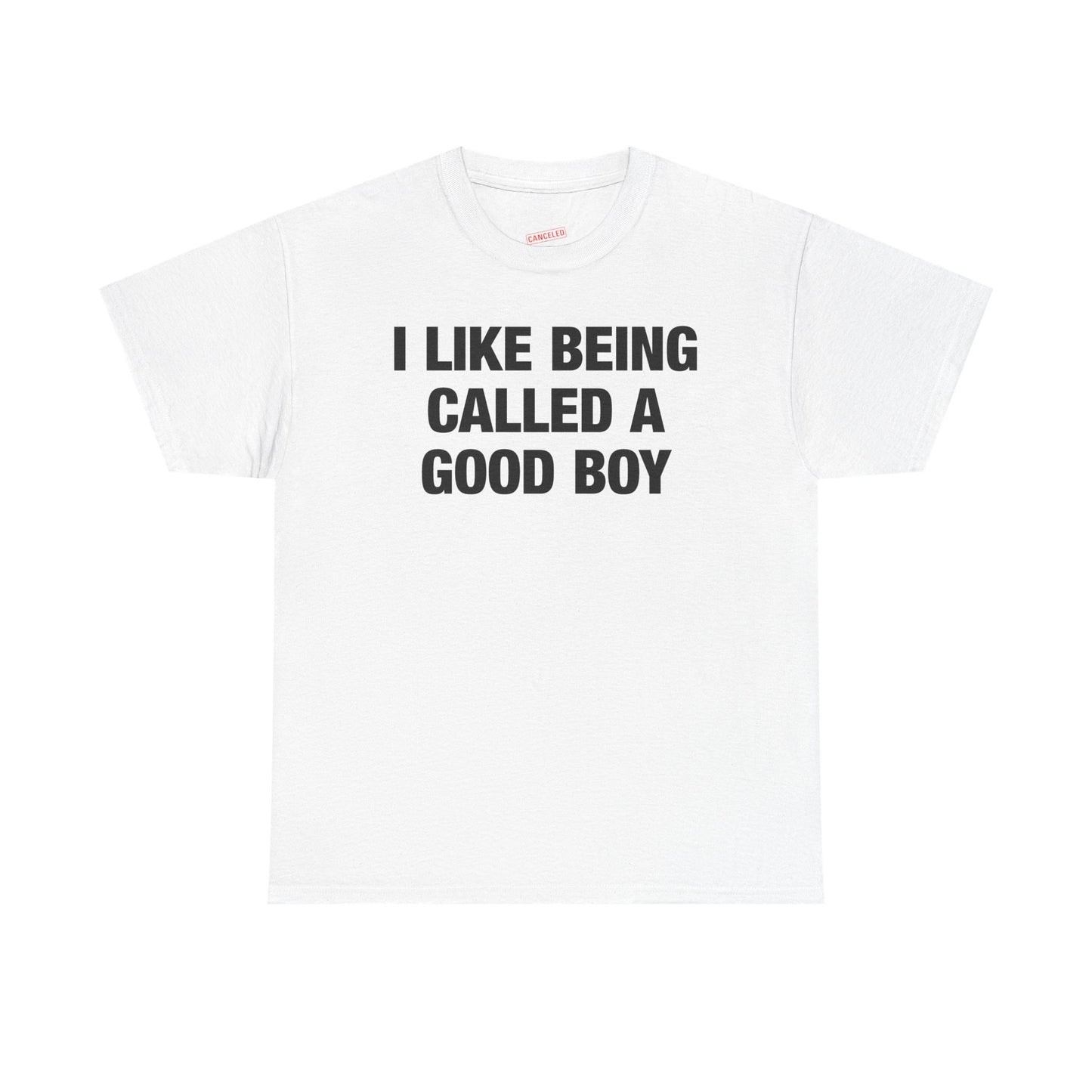 I Like Being Called A Good Boy T-Shirt