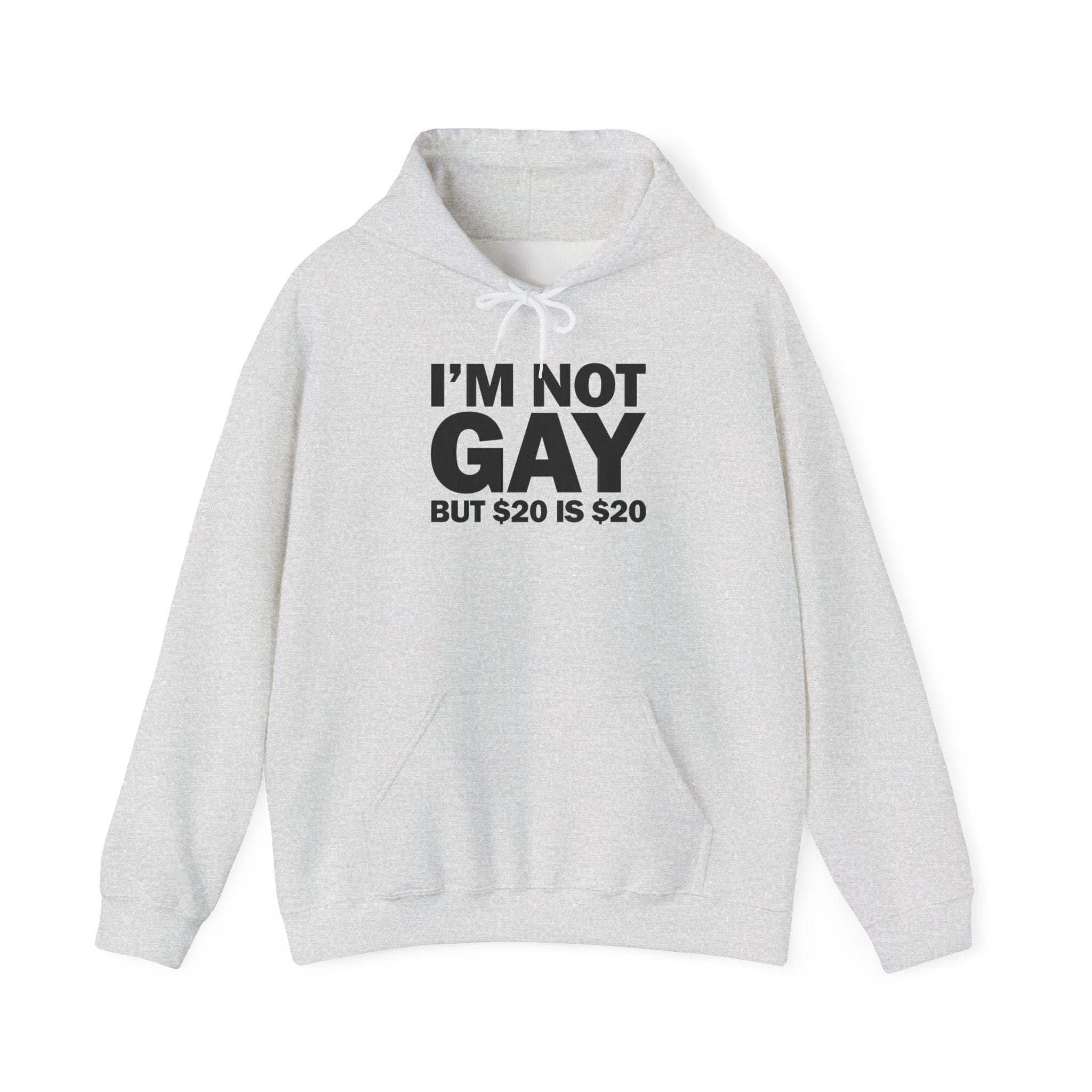 I'M NOT GAY BUT $20 IS $20 HOODIE