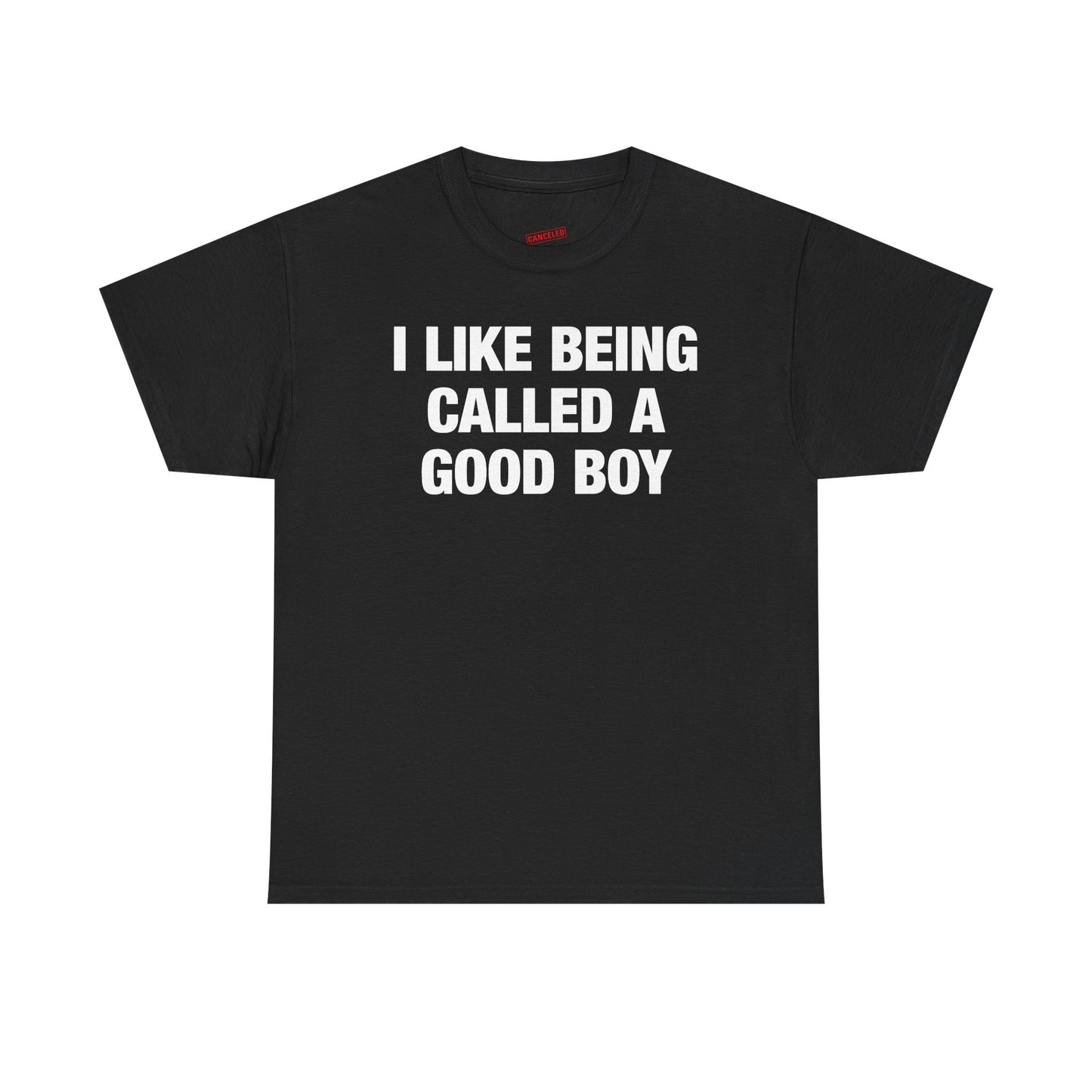 I Like Being Called A Good Boy T-Shirt