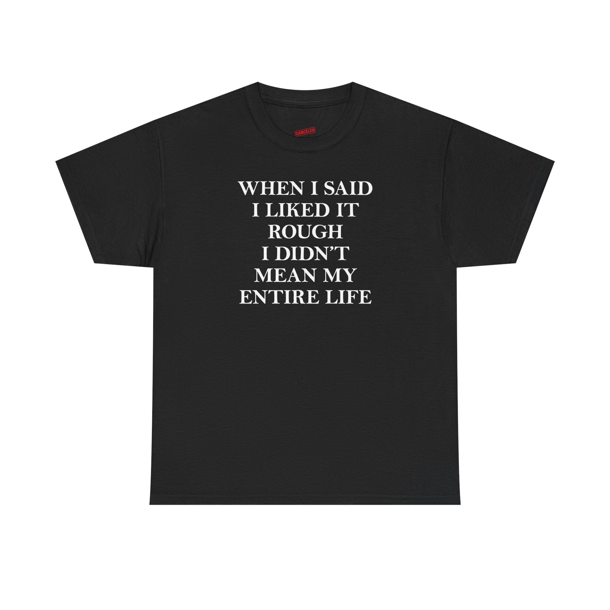 When I Said I Liked It Rough I Didn't Mean My Entire Life T-Shirt
