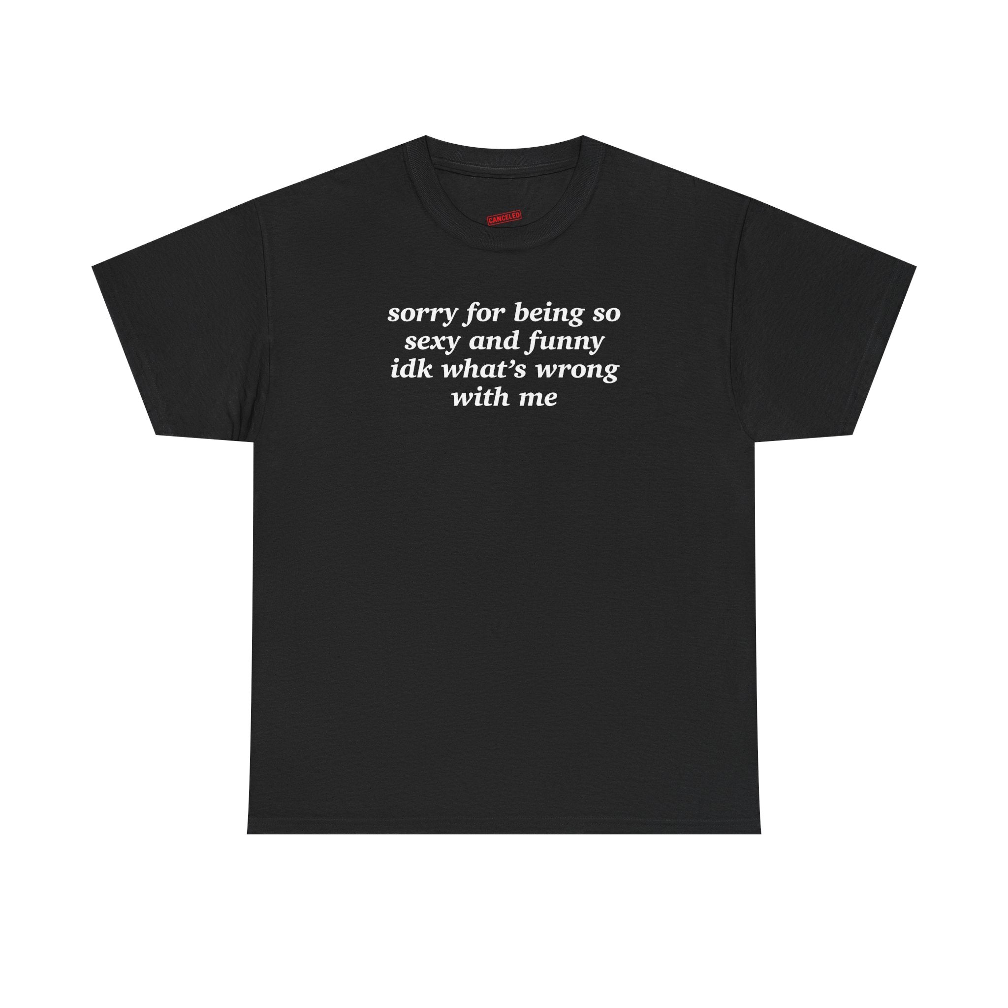 Sorry For Being So Sexy And Funny IDK What's Wrong With Me T-Shirt