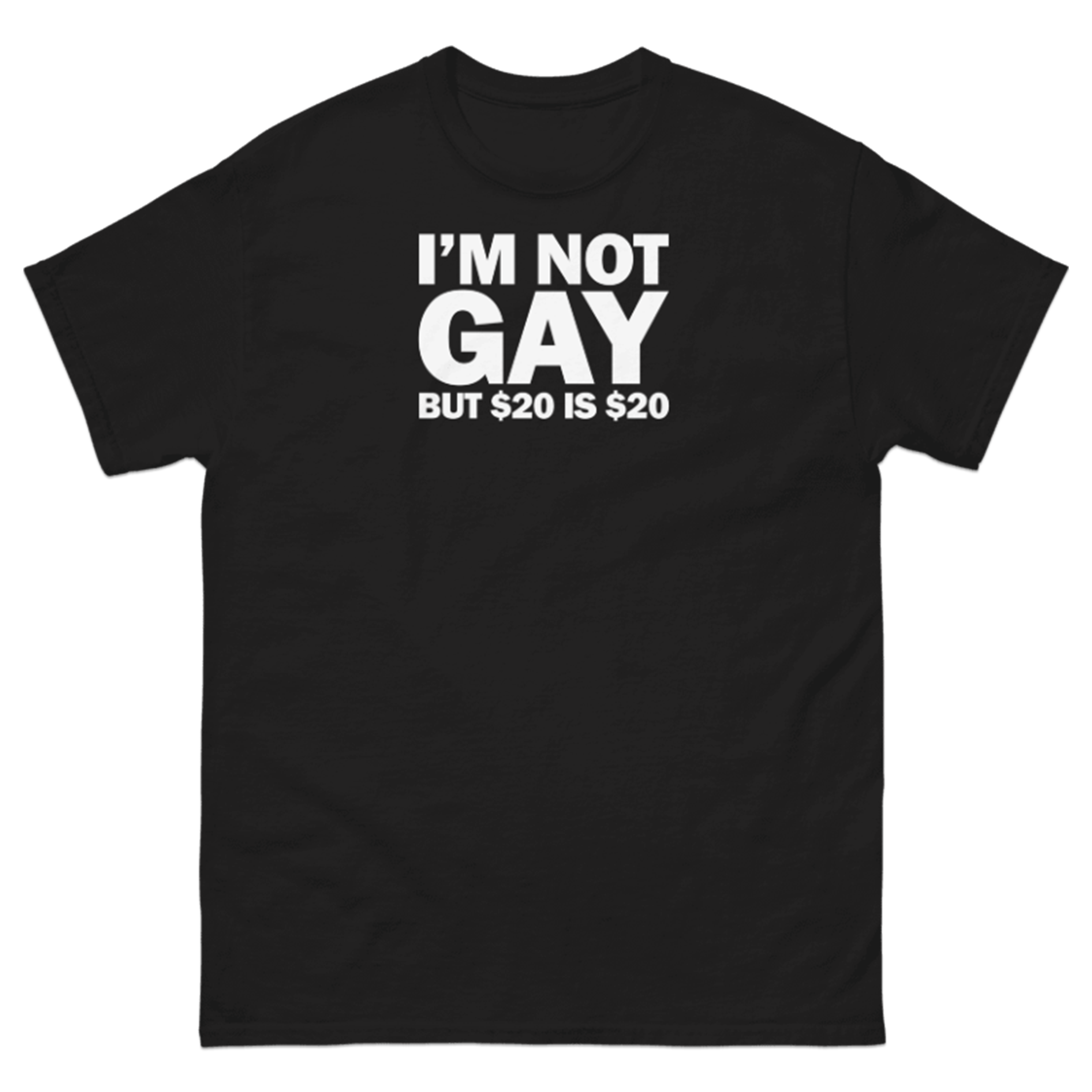 I'M NOT GAY BUT $20 IS $20 T-SHIRT