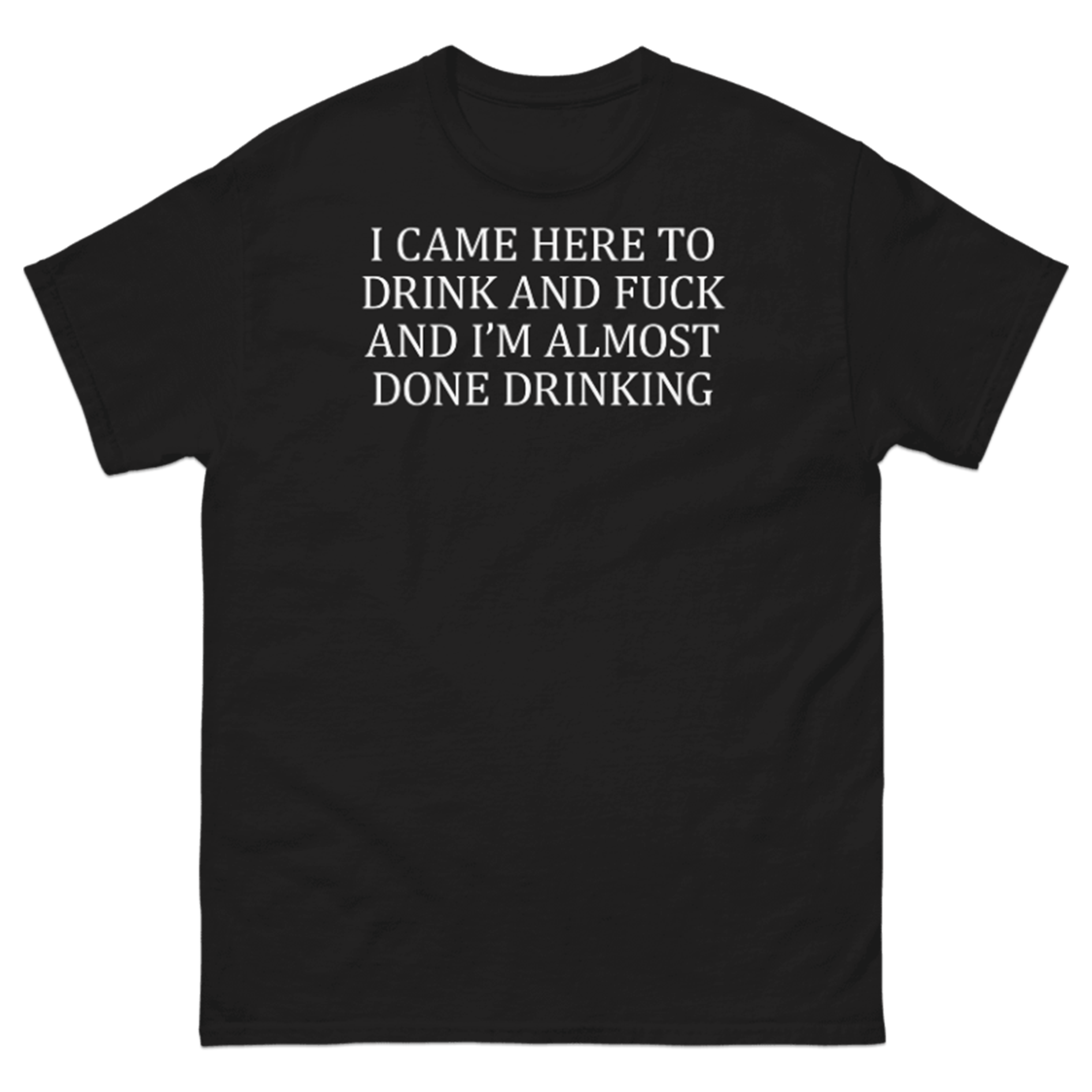 I CAME HERE TO DRINK AND FUCK T-SHIRT