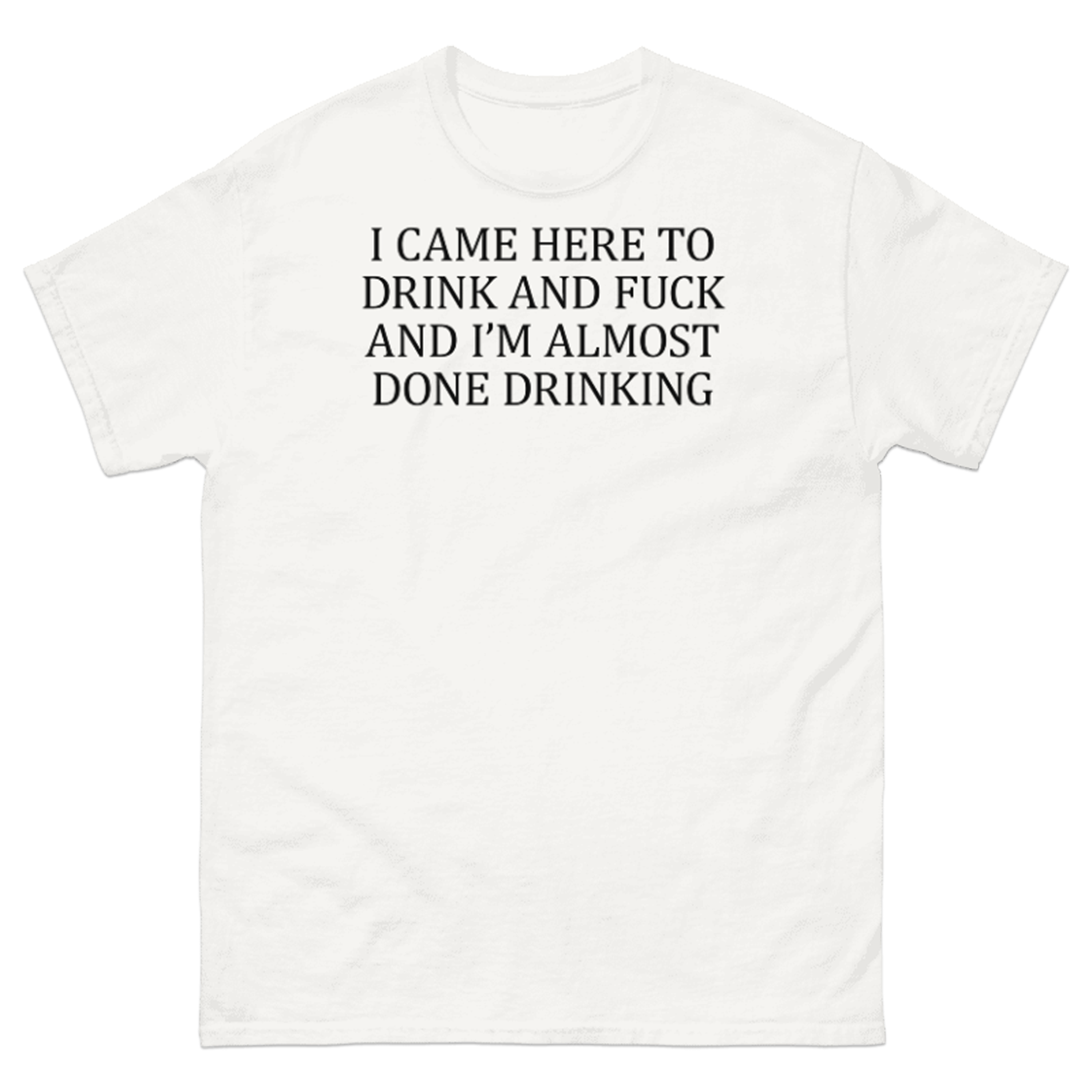 I CAME HERE TO DRINK AND FUCK T-SHIRT