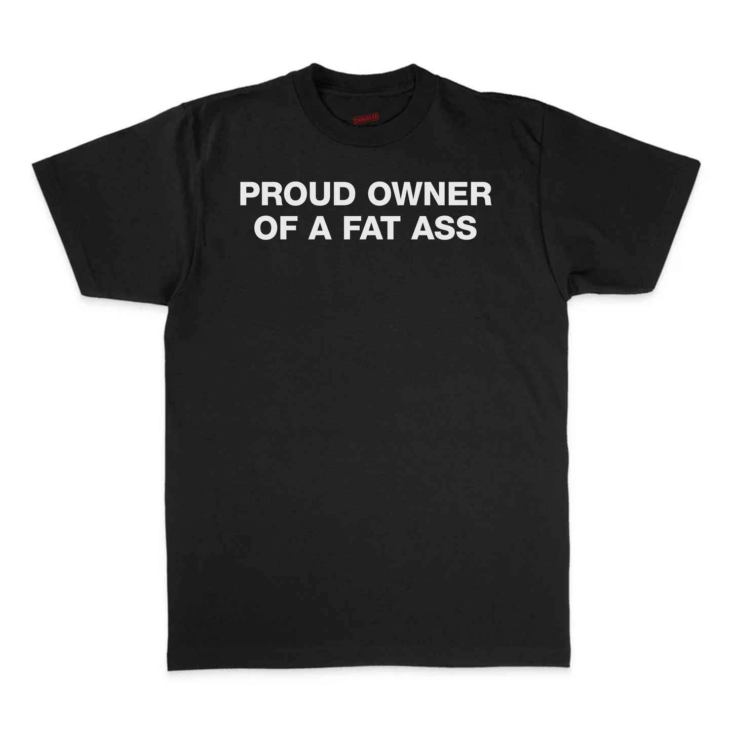 Proud Owner Of A Fat Ass T-Shirt