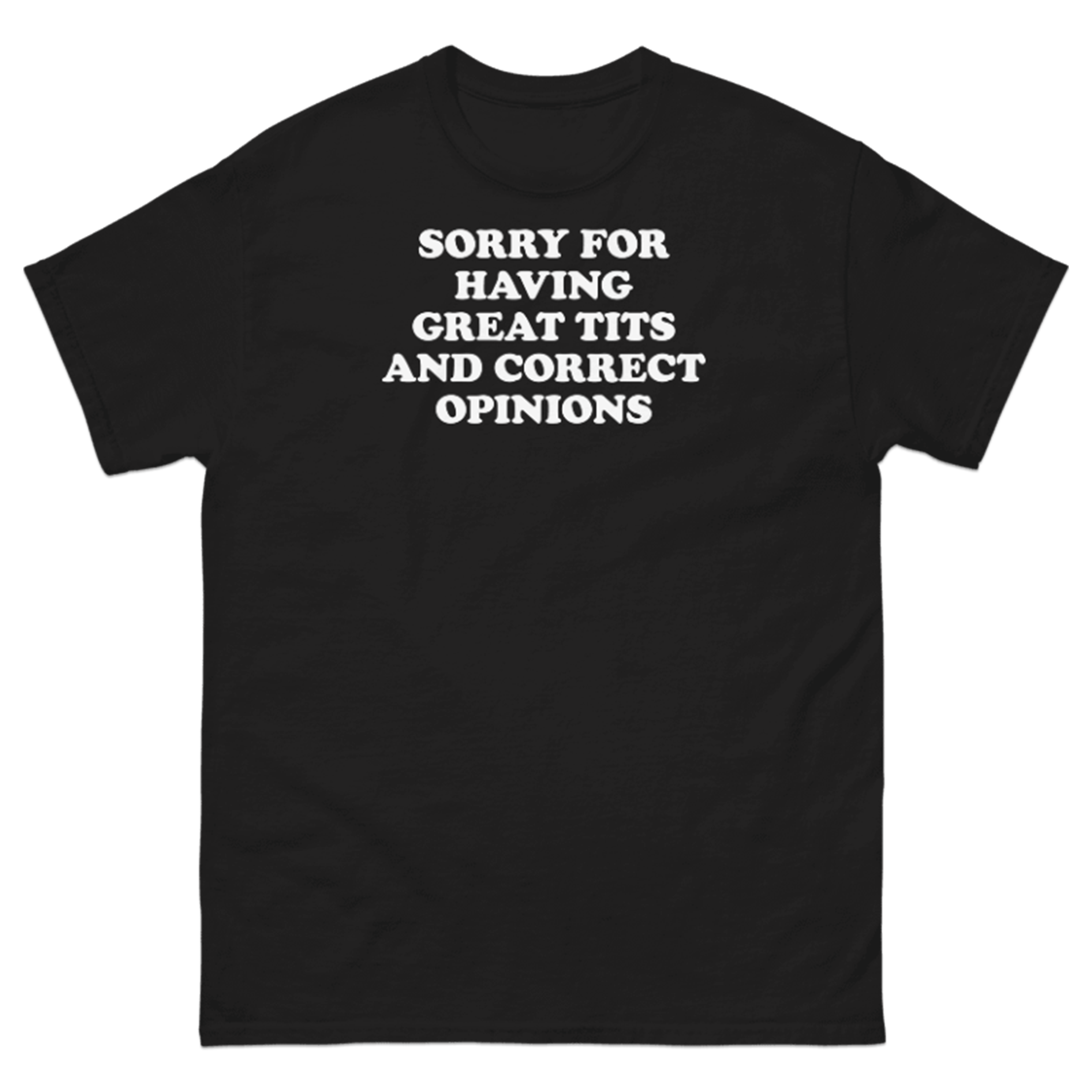 SORRY FOR HAVING GREAT TITS AND CORRECT OPINIONS T-SHIRT