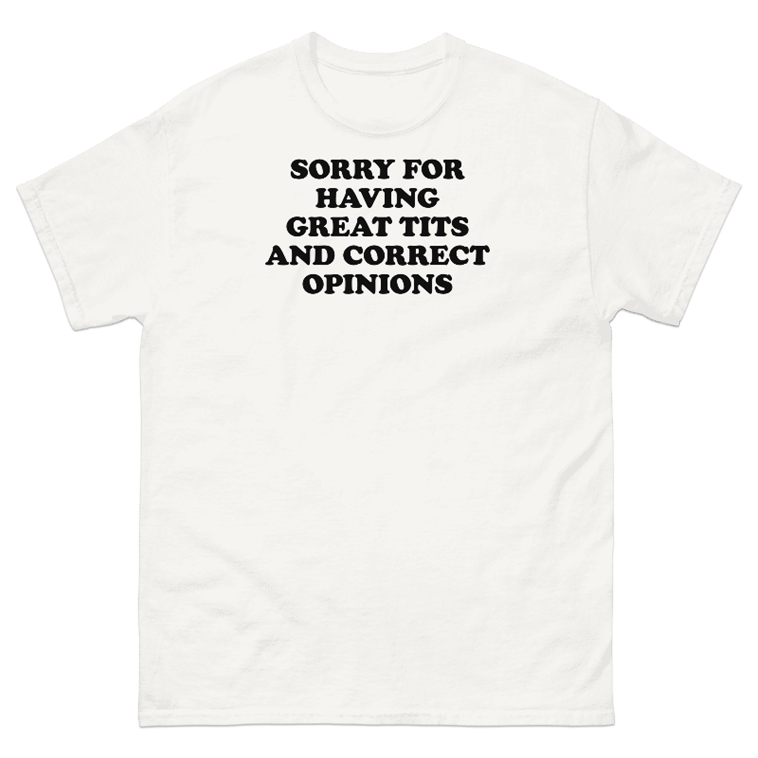 SORRY FOR HAVING GREAT TITS AND CORRECT OPINIONS T-SHIRT